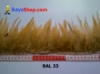 bulu ayam lancip BAL 33 - feather medium.jpg